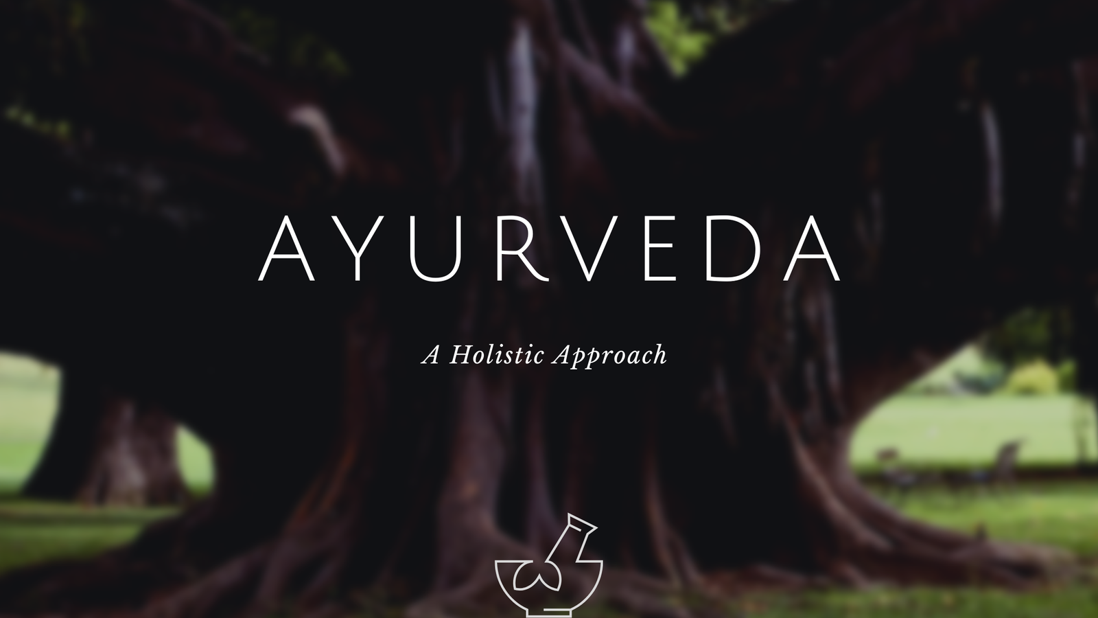 Read more about the article Ayurveda in the Modern World – How is it still Relevant?