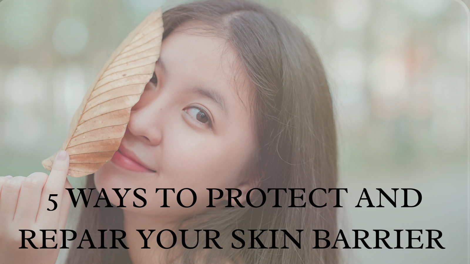 Read more about the article Why Your Skin Barrier Is Damaged | Top 5 Natural Ways to Repair It Fast
